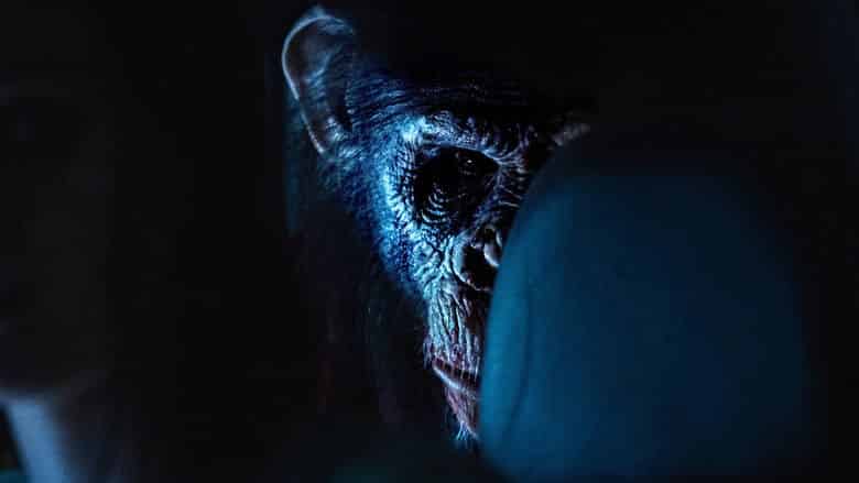 Szympans Cały Film (2026) - Vider