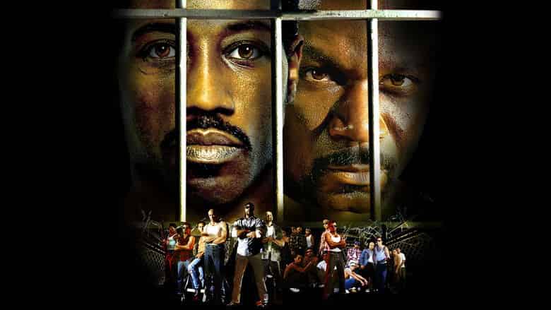 Champion Cały Film (2002) - Vider