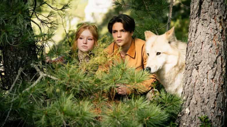 Zmiennokształtni 2 Cały Film (2026) - Vider