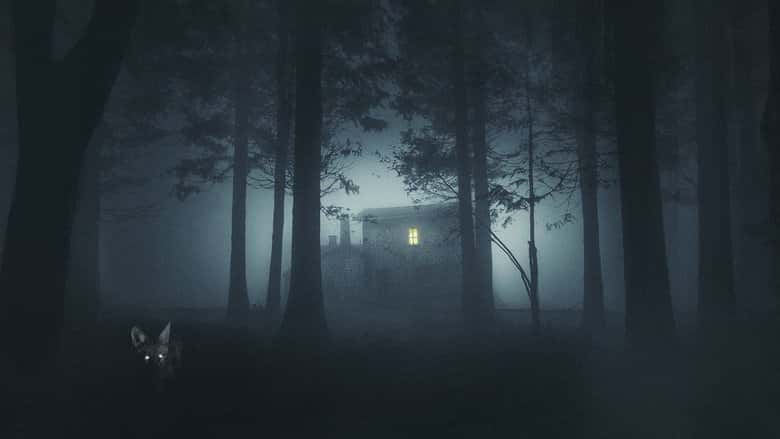 Miasteczko Shelby Oaks