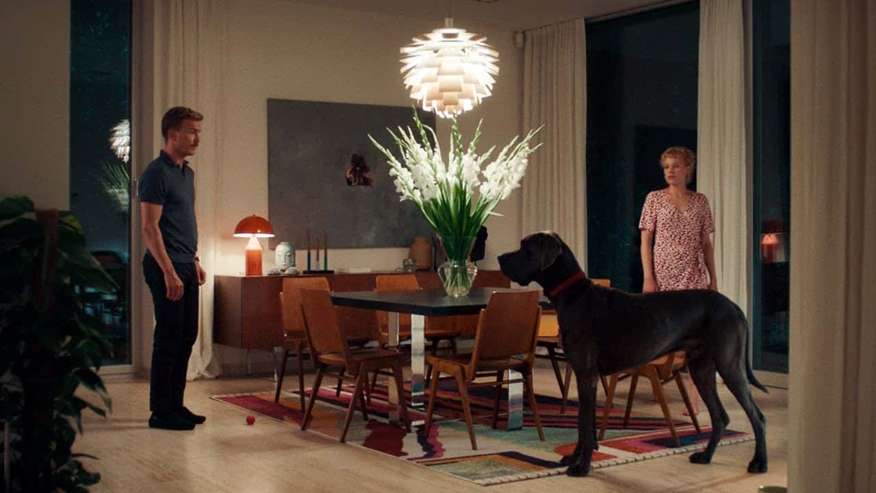 Zwiastun: Paw zwyczajny