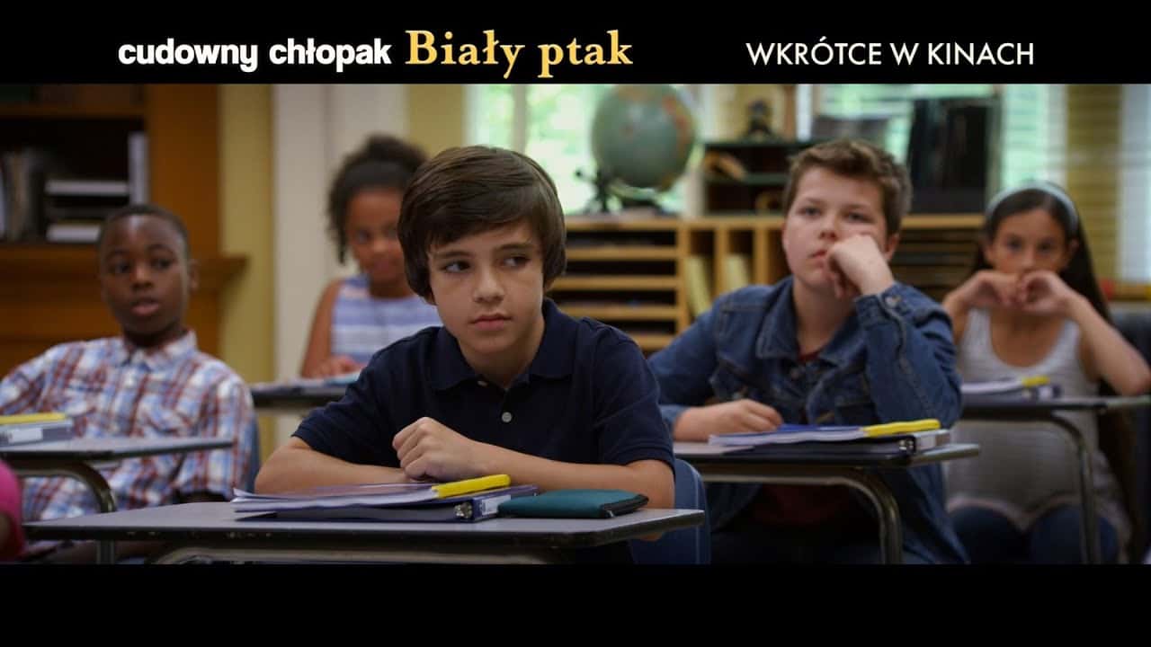 Zwiastun: Cudowny chłopak. Biały ptak