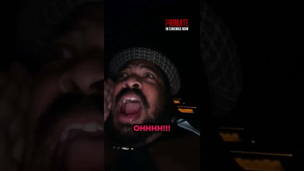 Szympans Cały Film (2026) - Vider