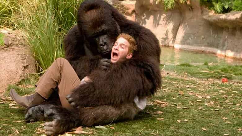 Stare wygi Cały Film (2009) - Vider