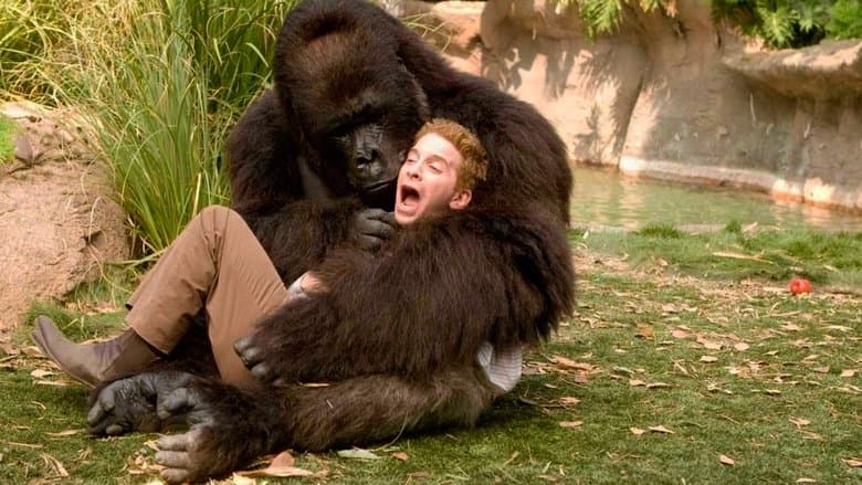 Stare wygi Cały Film (2009) - Vider