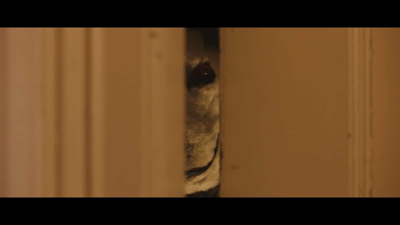 Zwiastun: Dobry piesek!